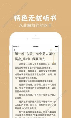 在菲律宾工作的公司没有营业执照被调查了，会对个人有什么影响吗